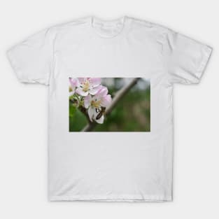 A bee attracted by the freshness of spring T-Shirt